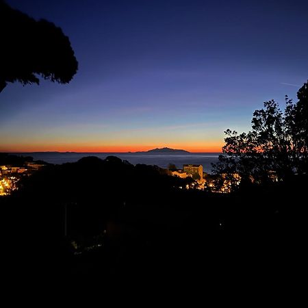 Casa Luciani Appartement Erbalunga  Buitenkant foto
